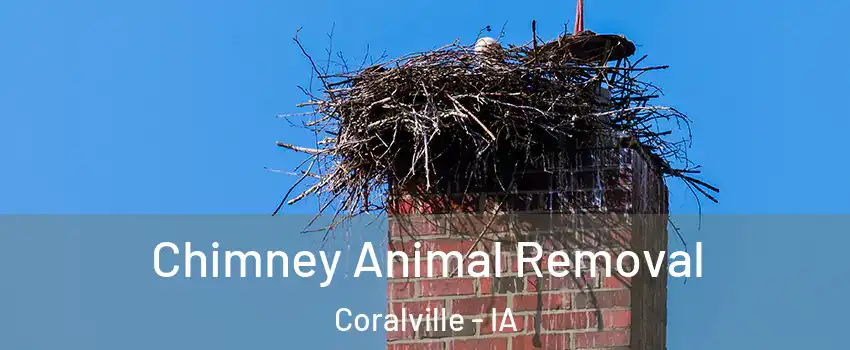  Chimney Animal Removal Coralville - IA