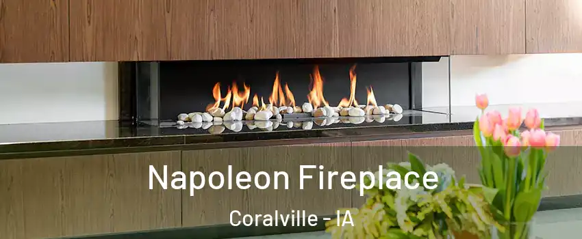  Napoleon Fireplace Coralville - IA